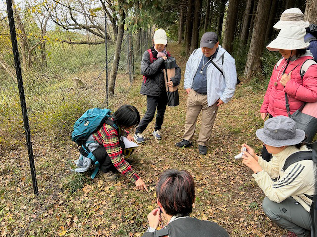 森林浴＆温泉浴ツアー