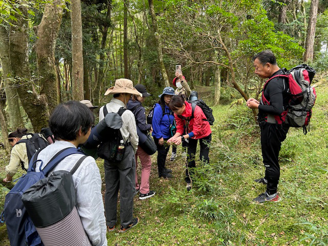 森林浴＆温泉浴ツアー