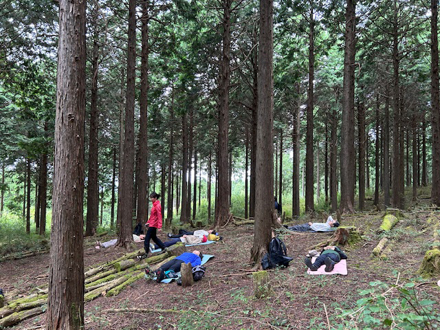 森林浴＆温泉浴ツアー